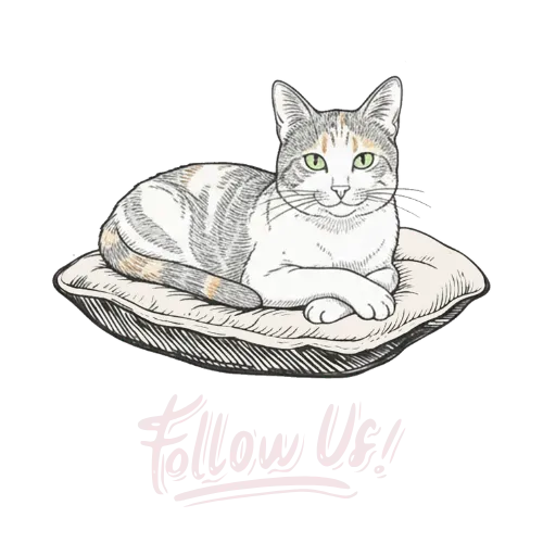 Emma's Place Logo Footer