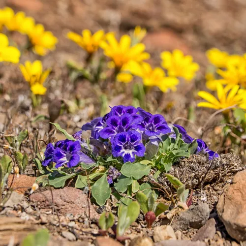 Karoo Wilderness Walks