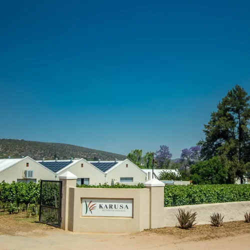Karusa Vineyard