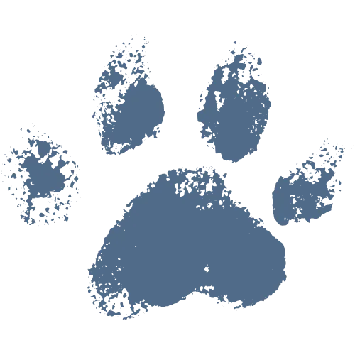 Paw 01