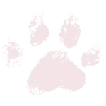 Paw 02