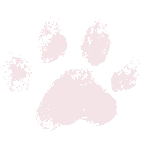 Paw 02